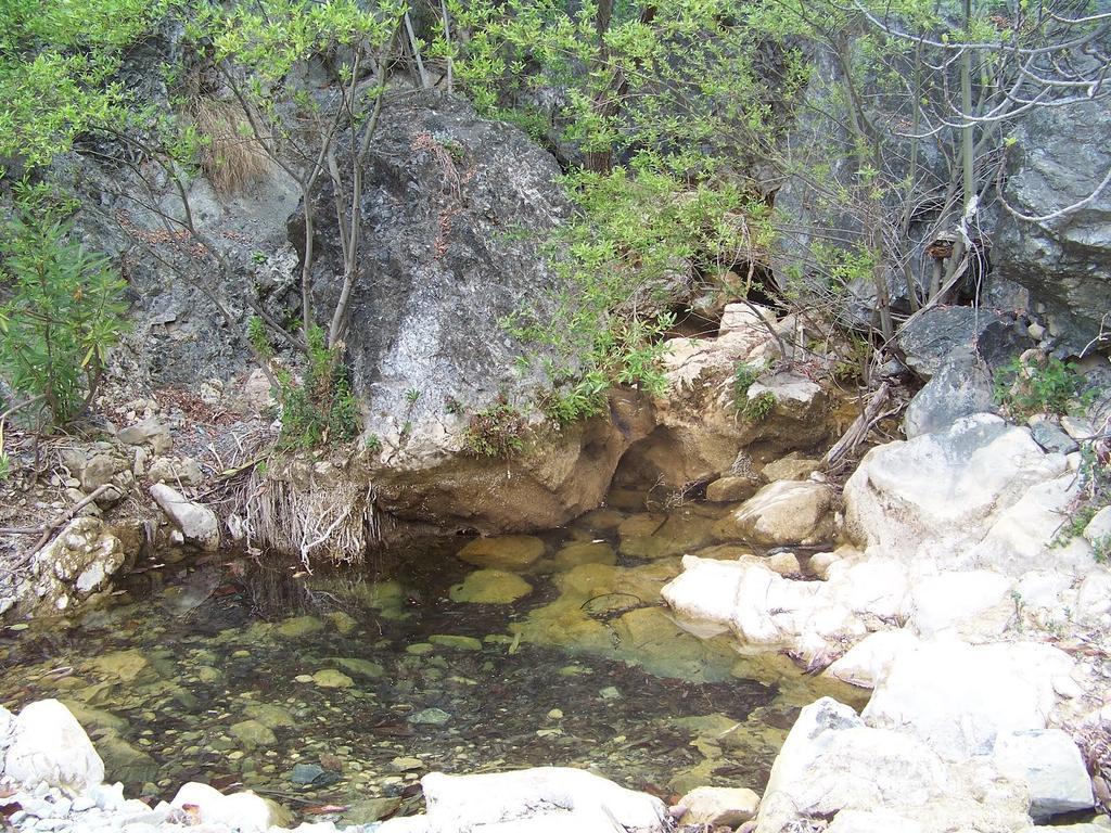 Hostal Sango Sierra De Las Nieves Alozaina Esterno foto
